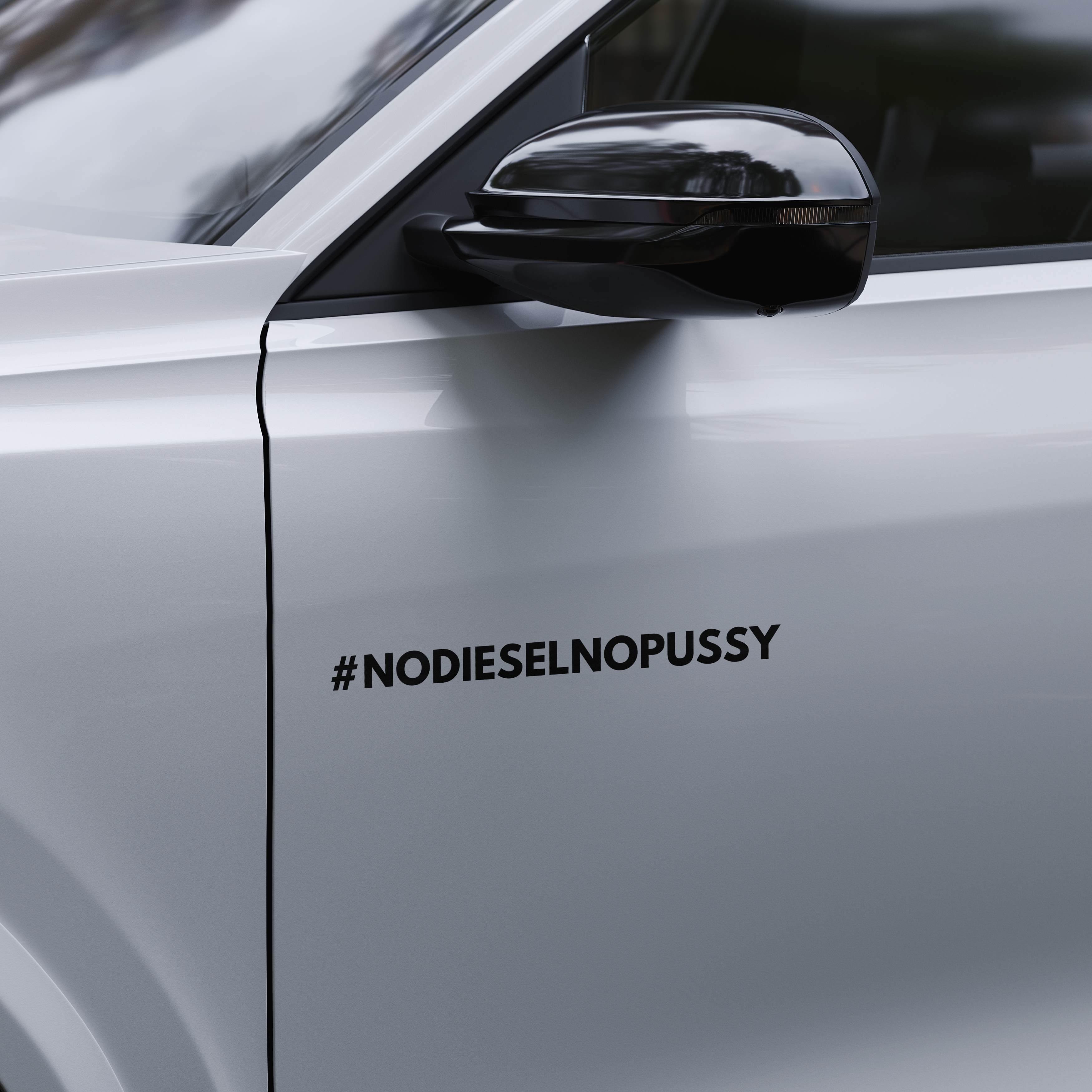 #NODIESELNOPUSSY - Dekal