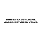 Hon sa: ta det lugnt.. - Dekal