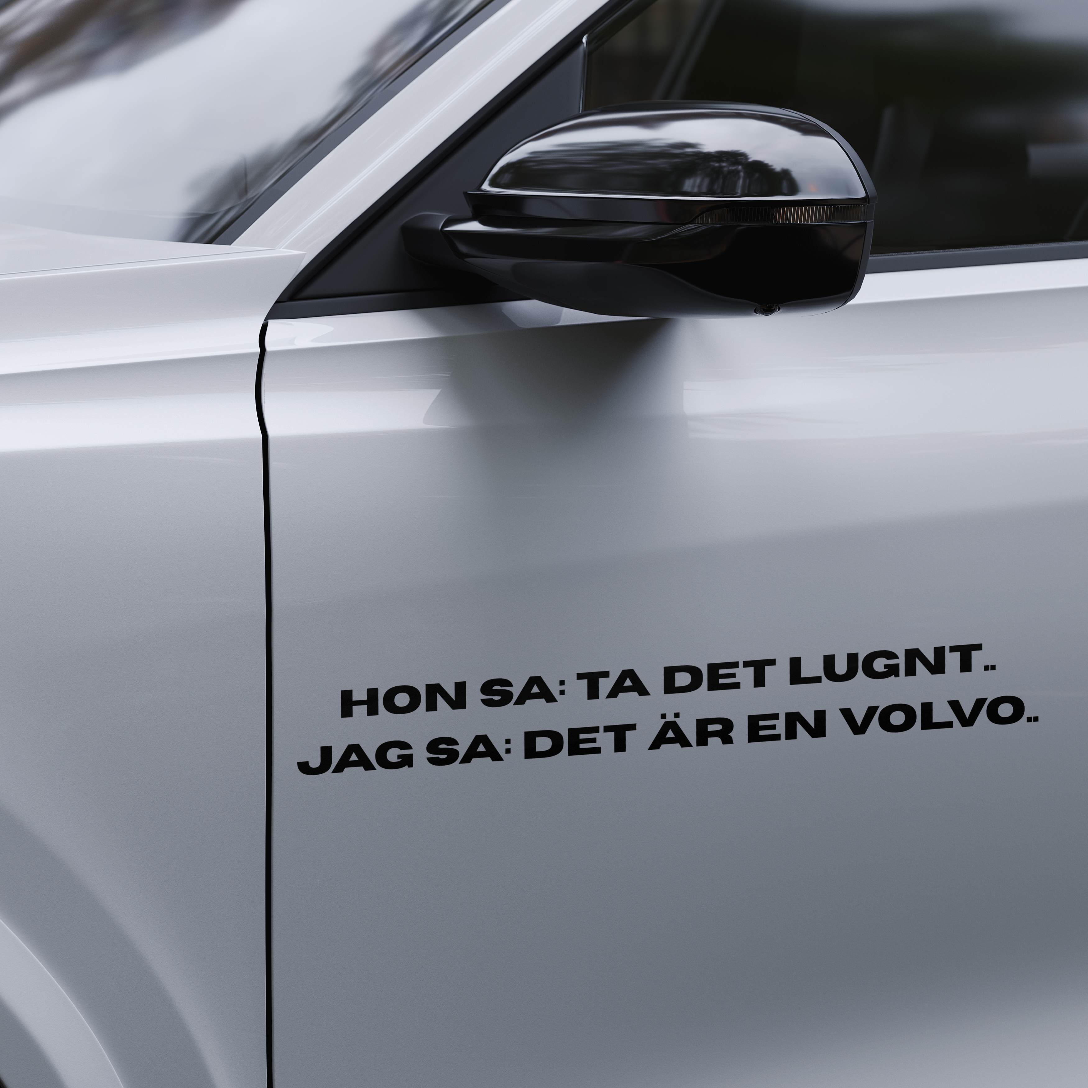 Hon sa: ta det lugnt.. - Dekal