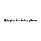 Bjuder på en åktur du aldrig glömmer